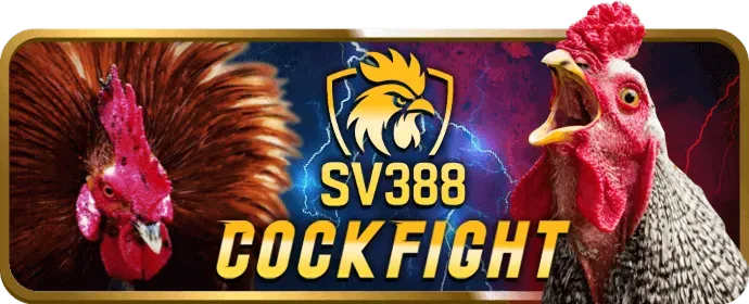 Hỗ trợ khách hàng 24/7
